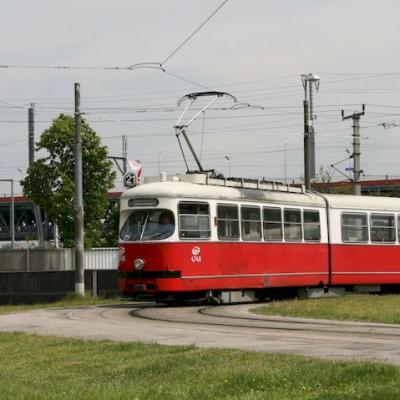 Img 2446